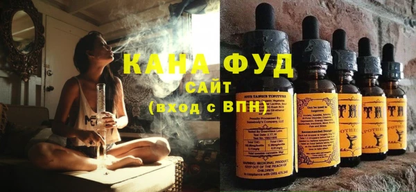 индика Алзамай