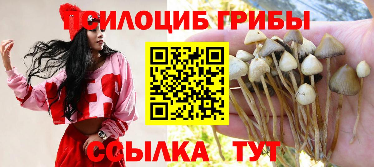 купить наркотик  Вход с VPN  Когалым  Псилоцибиновые грибы мицелий 